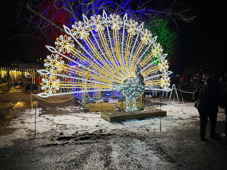 22-12-19 20-22-56 3689